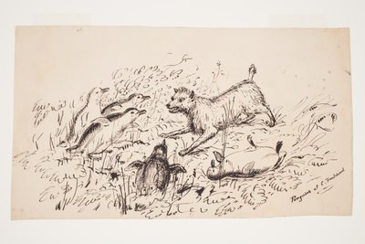 Penguins at Cape Foulwind by Charles Heaphy